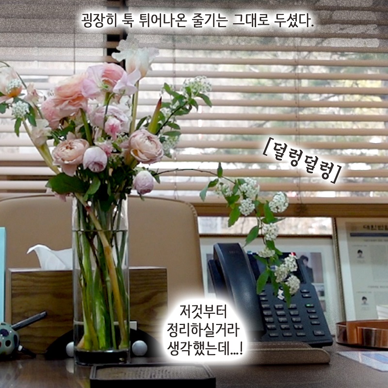 두번째 브이로그 — 웹툰 장면 11