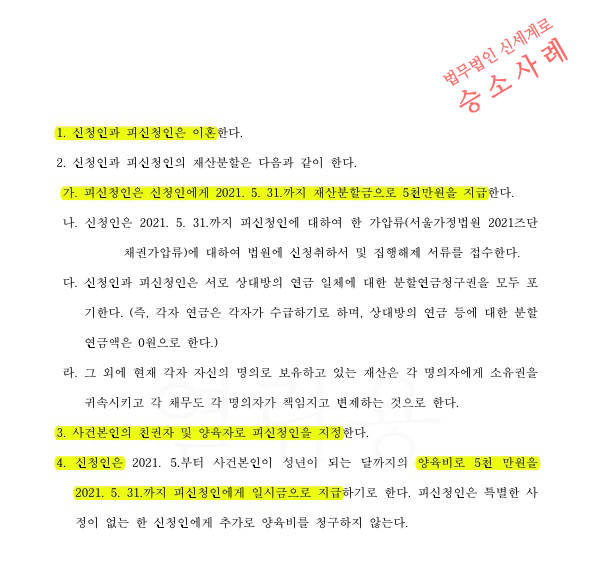 자녀의 양육권, 면접교섭문제 갈등을 최소화하고 이혼조정을 통해 신속히 마무리 — 사례 자료 6