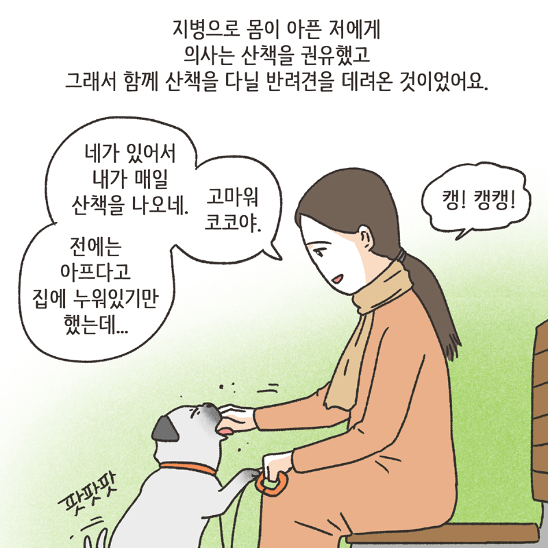 반려견 (1) — 웹툰 장면 6