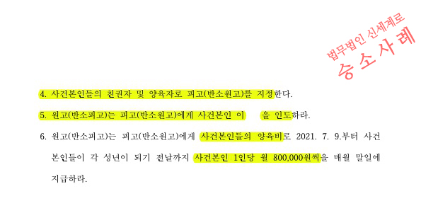 분리양육중인 자녀의 양육권과 친권을 확보하며 이혼승소 — 사례 자료 6