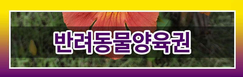 반려견의 죽음에 공감하지 못하는 배우자의 태도를 이혼 사유로 삼을 수 있나요? — 관련 이미지 4
