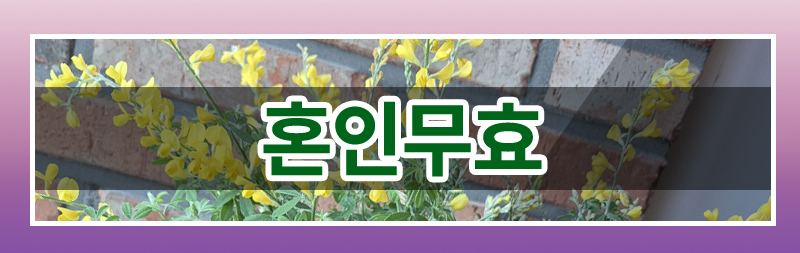 결혼 직후 사라진 베트남 아내에 대한 혼인무효 소송 — 관련 이미지 2