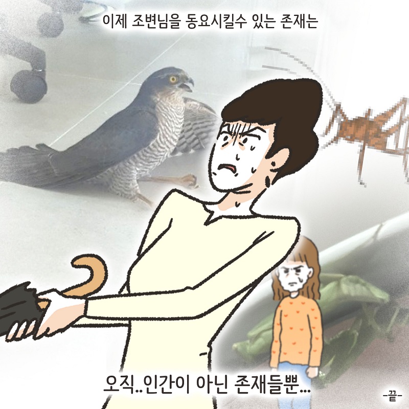 조변과 사마귀 — 웹툰 장면 24