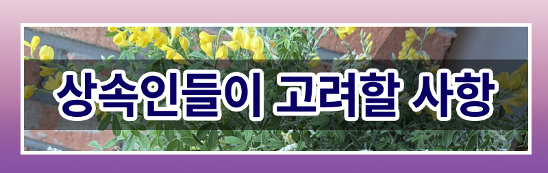 결혼 직후 사라진 베트남 아내에 대한 혼인무효 소송 — 관련 이미지 3