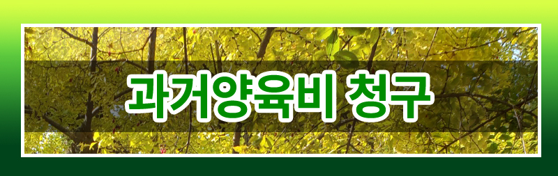 과거 양육비의 모든 것 완벽 정리해드립니다. — 관련 이미지 2
