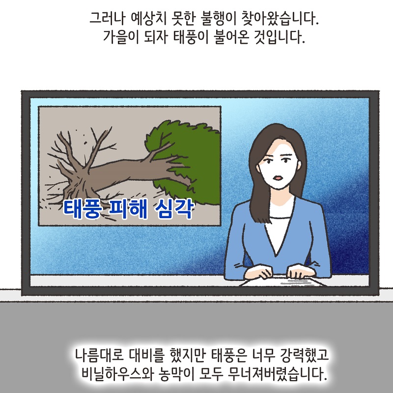 의뢰인의 편지 (3) — 웹툰 장면 11