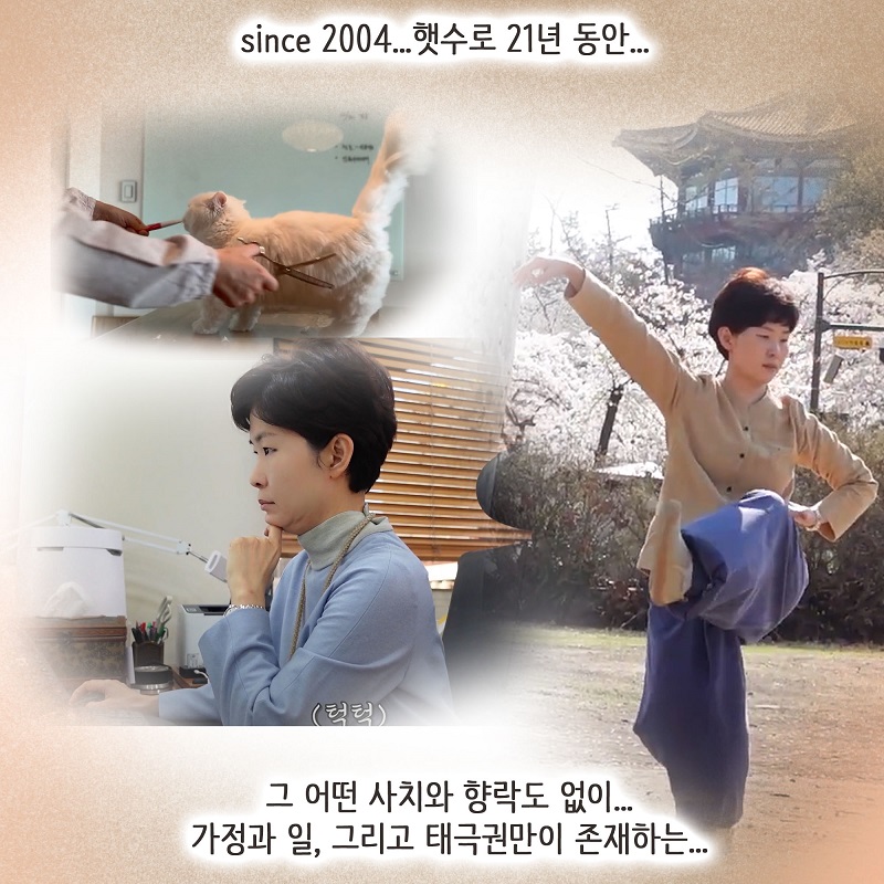 태극권과 조변님 — 웹툰 장면 11