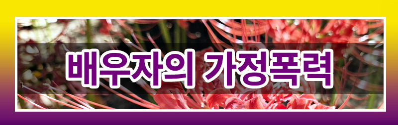 배우자의 폭력 및 자녀 성추행에 대한 법적 대응 — 관련 이미지 2