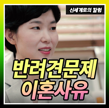 반려견의 죽음에 공감하지 못하는 배우자의 태도를 이혼 사유로 삼을 수 있나요? — 관련 이미지 1