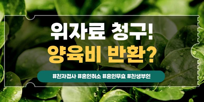 내아이가 친자가 아니다, 혼인무효? — 관련 이미지 5