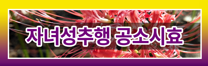 배우자의 폭력 및 자녀 성추행에 대한 법적 대응 — 관련 이미지 3