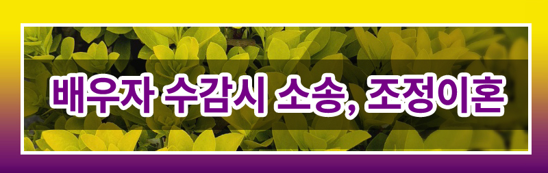 성범죄 저지른 남편, 이혼 할 수 있을까요. — 관련 이미지 3