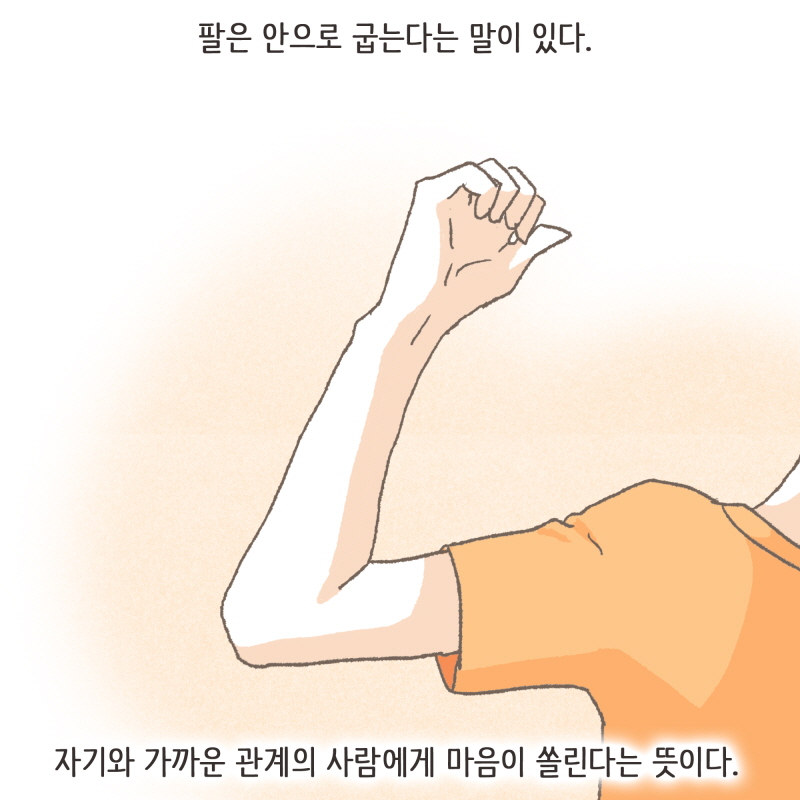 80074-02.jpg 팔은 안으로 굽는다 — 웹툰 장면 6