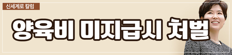 양육비를 일시금으로 받을 수 있나요 — 관련 이미지 4