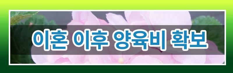 양육비 집행의 모든 것! 정리해드립니다. — 관련 이미지 3