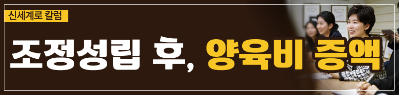 양육비의 증액을 청구하지 않기로 한다는 조항을 명시한 이후 증액 청구 가능 여부 — 관련 이미지 3