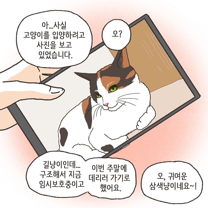 뻔뻔한 상간녀 (1) — 웹툰 장면 12