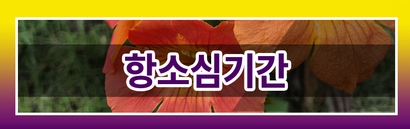 반려견의 죽음에 공감하지 못하는 배우자의 태도를 이혼 사유로 삼을 수 있나요? — 관련 이미지 3