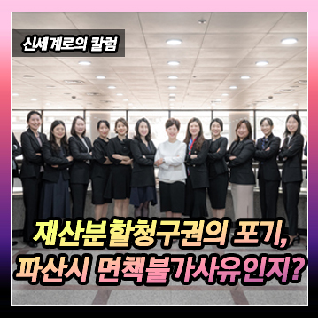 재산분할청구권의 포기가 면책불가사유에 해당하는지에 대하여 — 관련 이미지 2