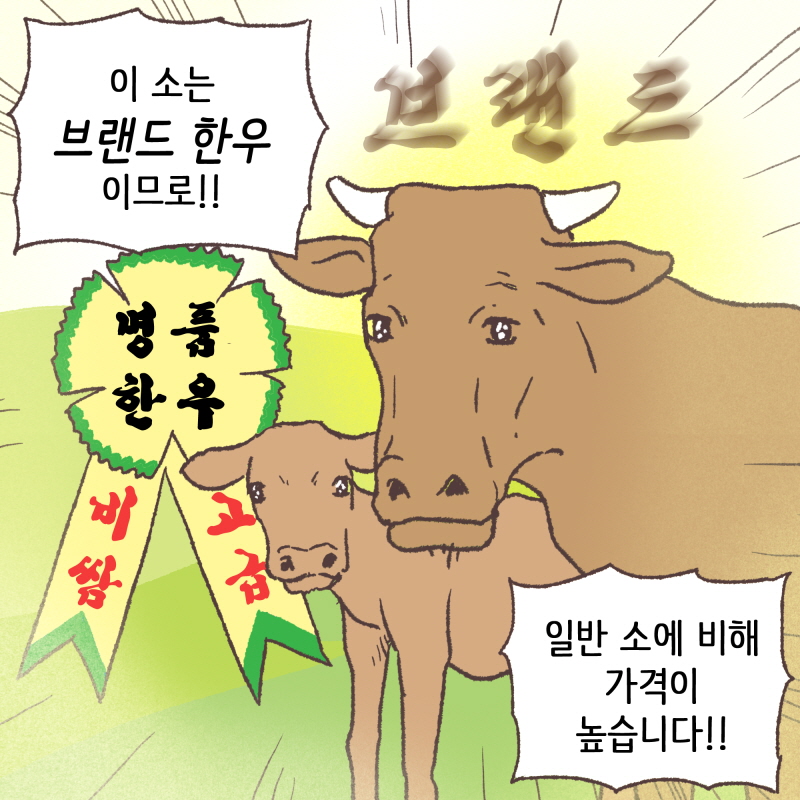 브랜드 한우에 대한 시가감정을,,, — 웹툰 장면 10