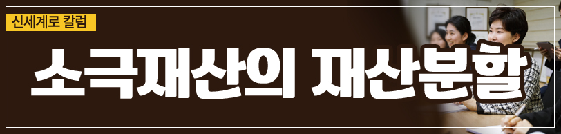 소극재산도 재산분할 대상이 되는지 여부 — 관련 이미지 5