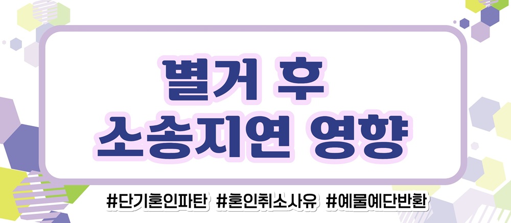 거짓말 투성인 남편, 혼인취소와 결혼비용반환 — 관련 이미지 5