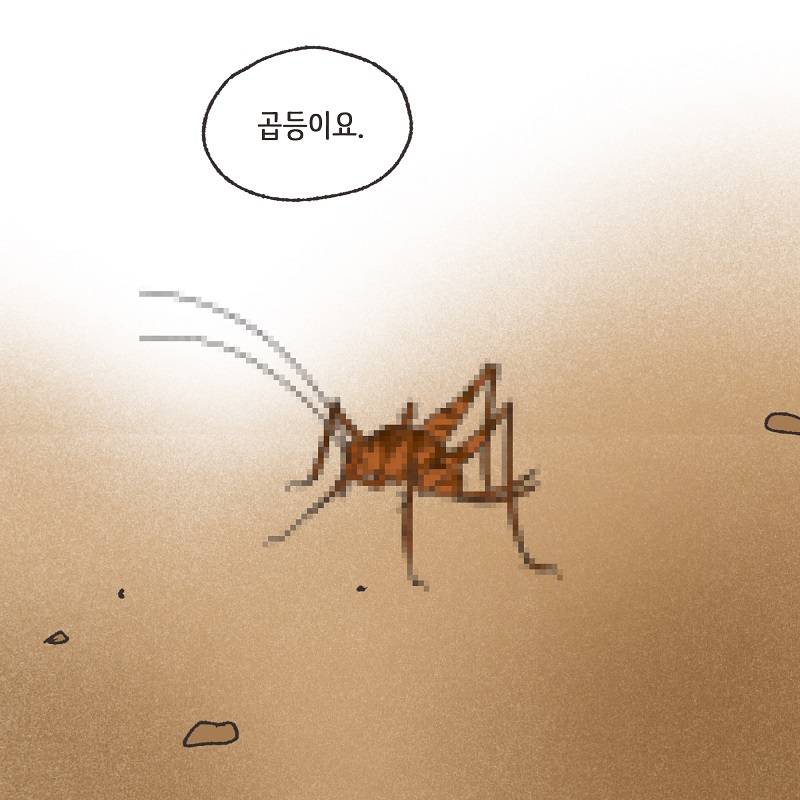 특별편 - 조변님 로봇설 — 웹툰 장면 10