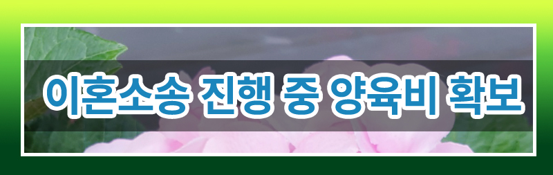 양육비 집행의 모든 것! 정리해드립니다. — 관련 이미지 2