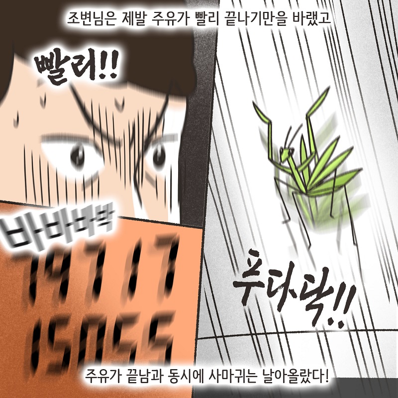 조변과 사마귀 — 웹툰 장면 11