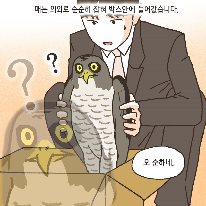 시조새 (2) — 웹툰 장면 9