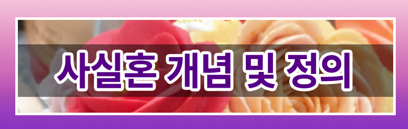 사실혼 이혼 완벽 가이드! 재산분할부터 양육권까지 — 관련 이미지 3