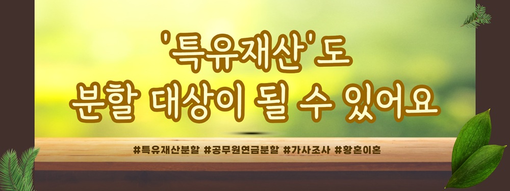30년 폭언 형사 남편과의 이혼, 특유재산과 공무원 연금까지 재산분할 — 관련 이미지 5