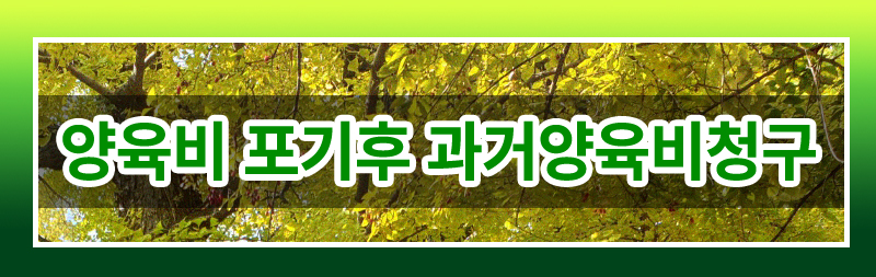 과거 양육비의 모든 것 완벽 정리해드립니다. — 관련 이미지 3