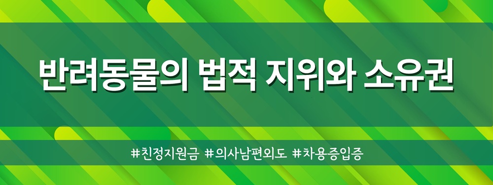 외도의사남편, 친정지원금 대여금반환 및 재산분할 — 관련 이미지 5