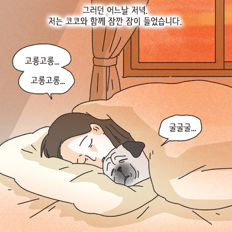 반려견 (4) — 웹툰 장면 8