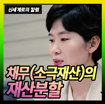 소극재산도 재산분할 대상이 되는지 여부 — 관련 이미지 1