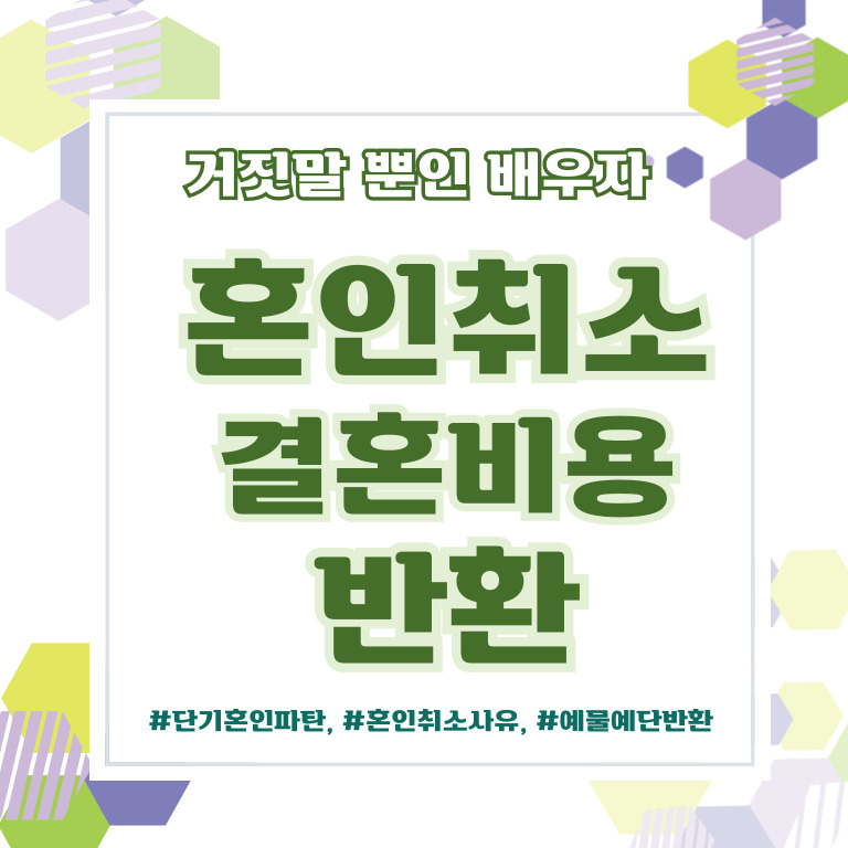거짓말 투성인 남편, 혼인취소와 결혼비용반환 — 관련 이미지 1