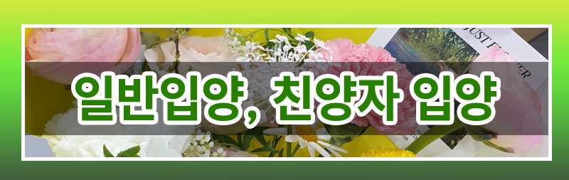 재혼하며 친양자로 입양한 아이 파양이 가능한지 여부 — 관련 이미지 2
