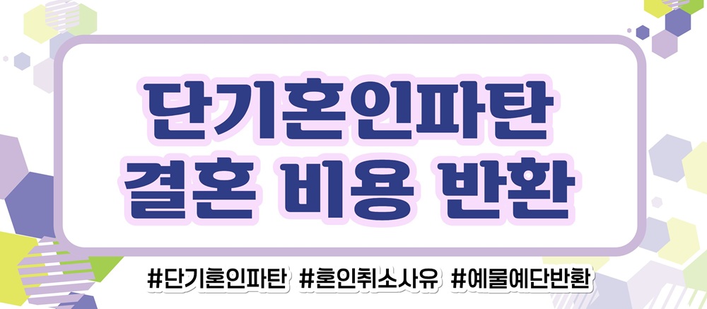 거짓말 투성인 남편, 혼인취소와 결혼비용반환 — 관련 이미지 4