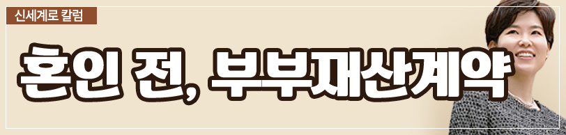 부부재산 계약 등에 관하여 — 관련 이미지 3