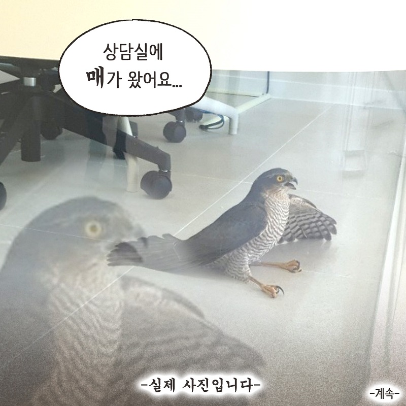 시조새 (1) — 웹툰 장면 14