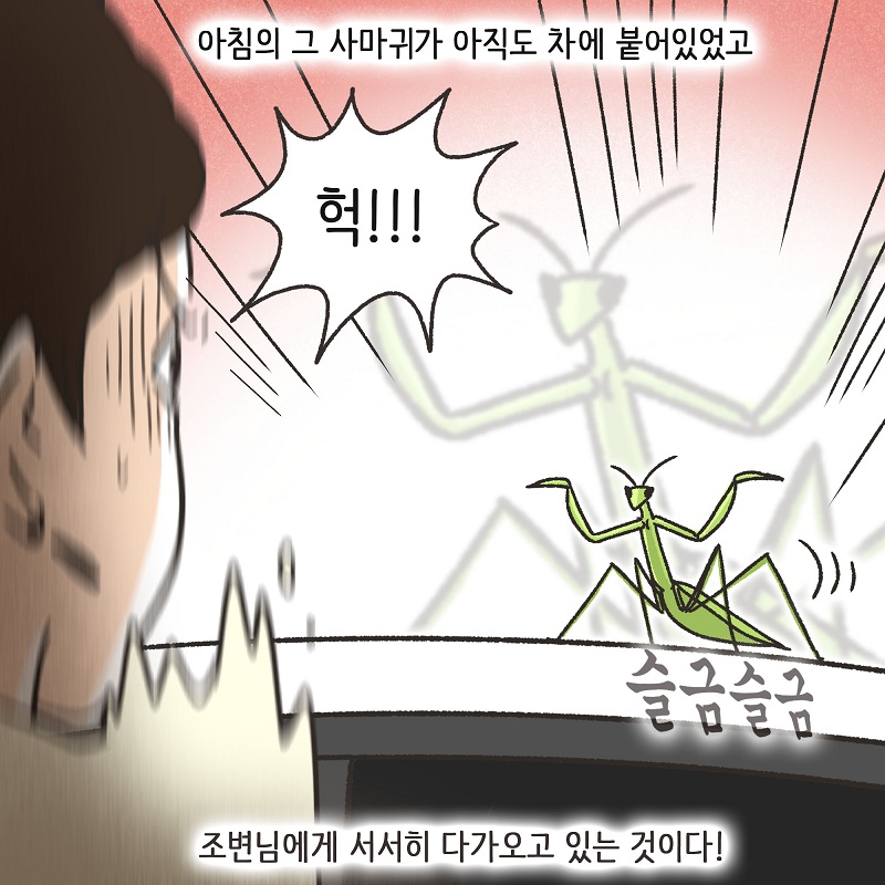 조변과 사마귀 — 웹툰 장면 10