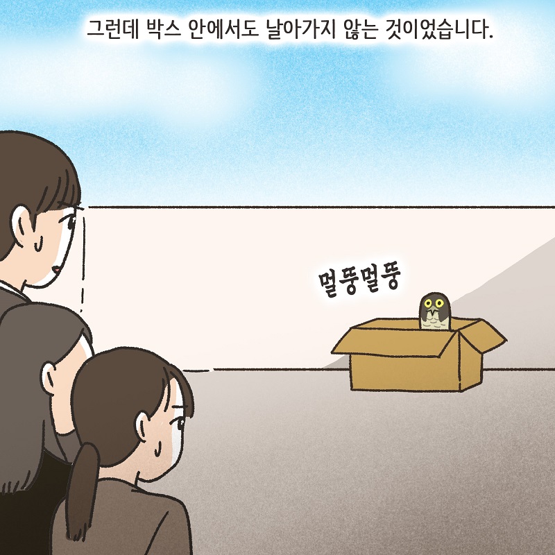 시조새 (2) — 웹툰 장면 10