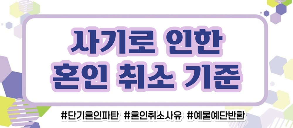 거짓말 투성인 남편, 혼인취소와 결혼비용반환 — 관련 이미지 3