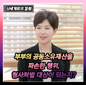 의뢰인과 배우자가 공동으로 소유하는 물건을 파손한 행위가 형사처벌 대상이 되는지? — 관련 이미지 2