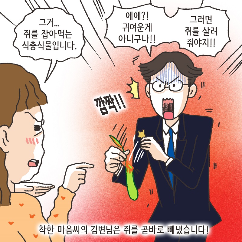 브이로그 - 여행 선물 — 웹툰 장면 13