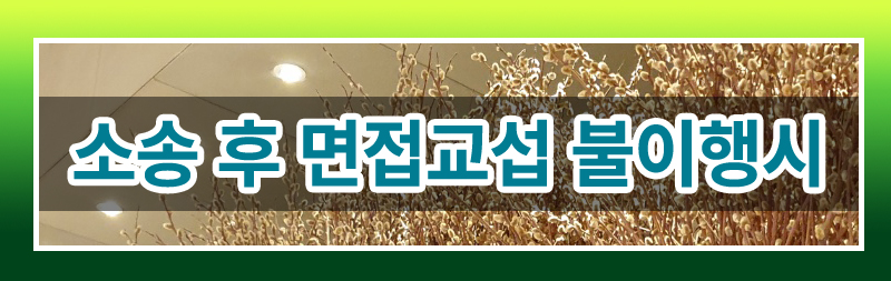 면접교섭권 이행확보 — 관련 이미지 3