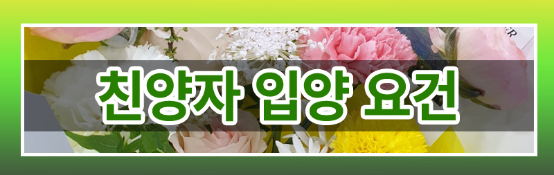 재혼하며 친양자로 입양한 아이 파양이 가능한지 여부 — 관련 이미지 3