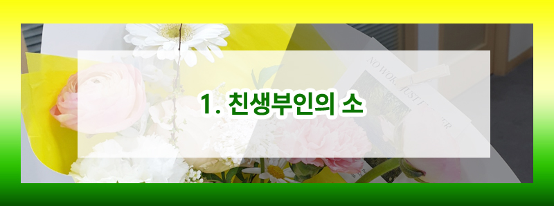 친생부인의 소와 친생부인허가 비교(별거 중 다른 남자의 아이를 출산한 경우) — 관련 이미지 2