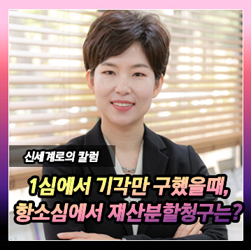 항소심에서 반소를 제기할 수 있는지, 재산분할 청구 할 수 있는지 여부 — 관련 이미지 2